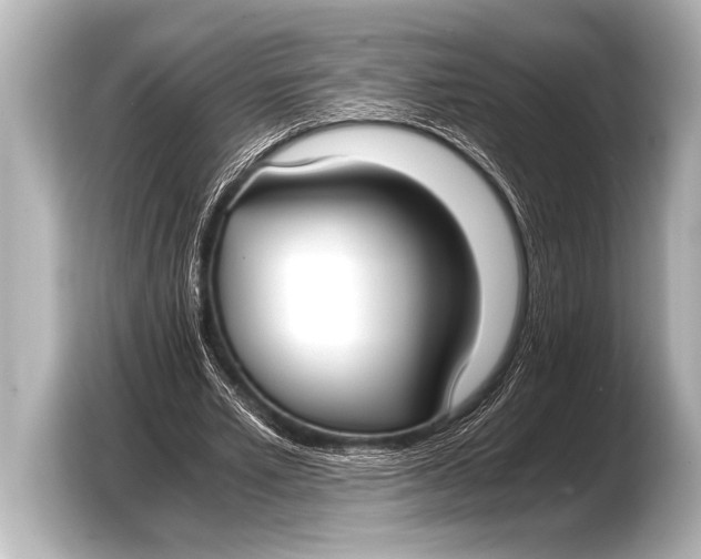 X0000103430581200810031352