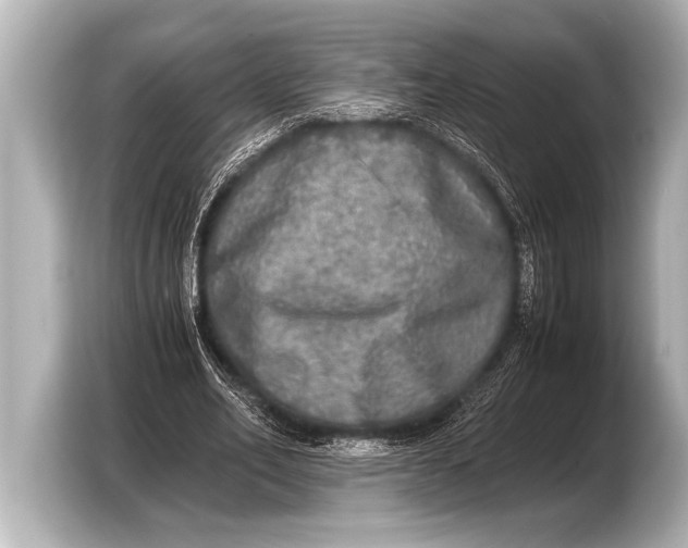 X0000103430582200810031352