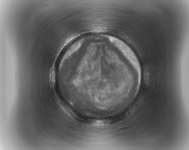 X0000103430584200810031352