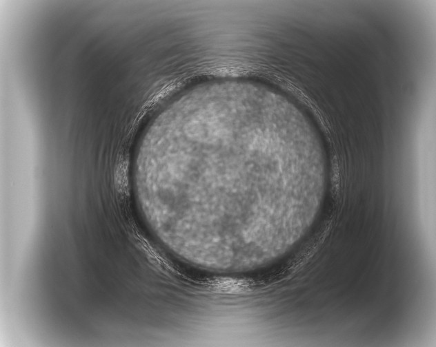 X0000103430585200810031352