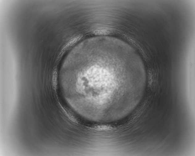 X0000103430586200810031352