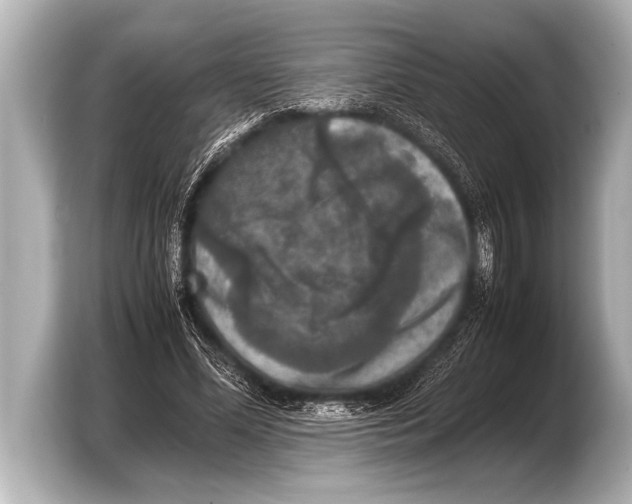 X0000103430588200810031352