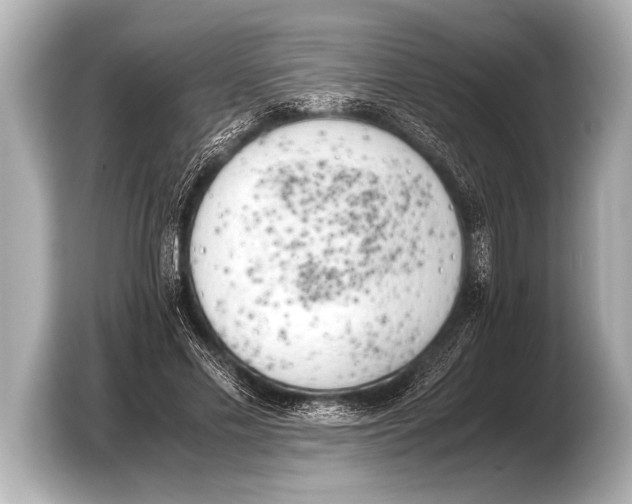 X0000103430589200810031352