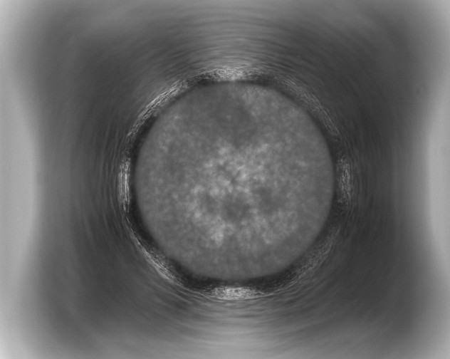 X0000103430590200810031352