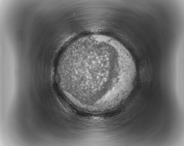 X0000103430592200810031352