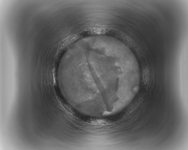 X0000103430594200810031352