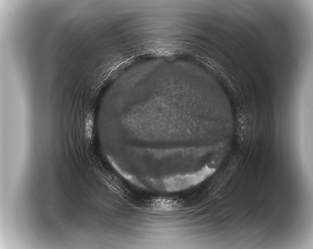 X0000103430596200810031352