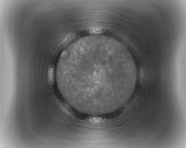 X0000103430598200810031352