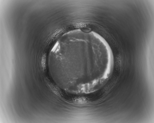 X0000103430600200810031352