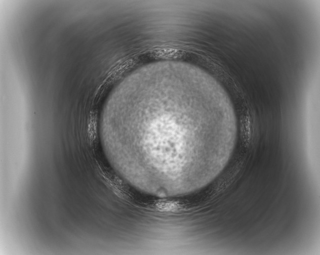 X0000103430602200810031352