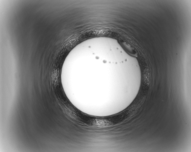 X0000103430605200810031352