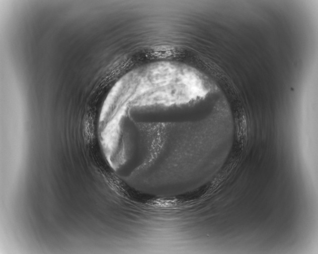 X0000103430606200810031352