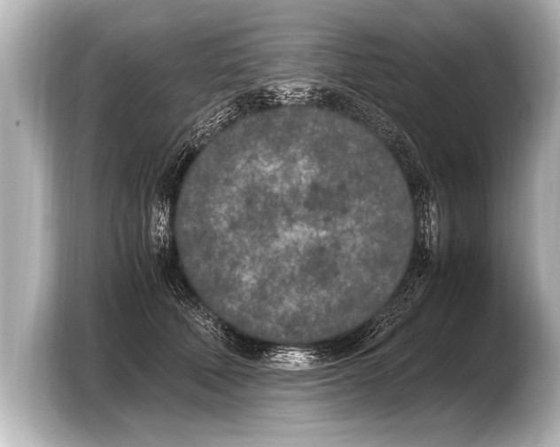 X0000103430610200810031352