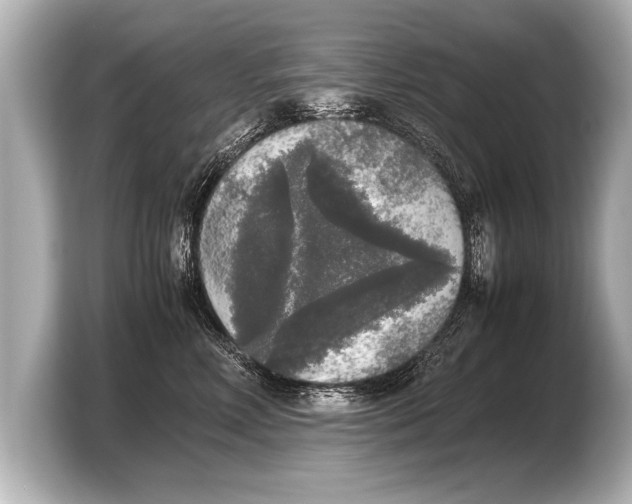 X0000103430618200810031352