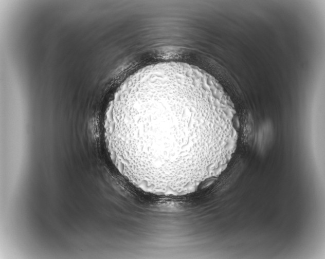 X0000103430620200810031352