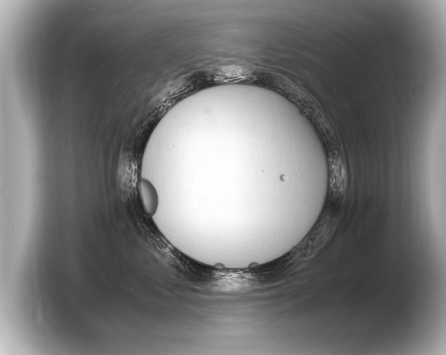 X0000103430621200810031352