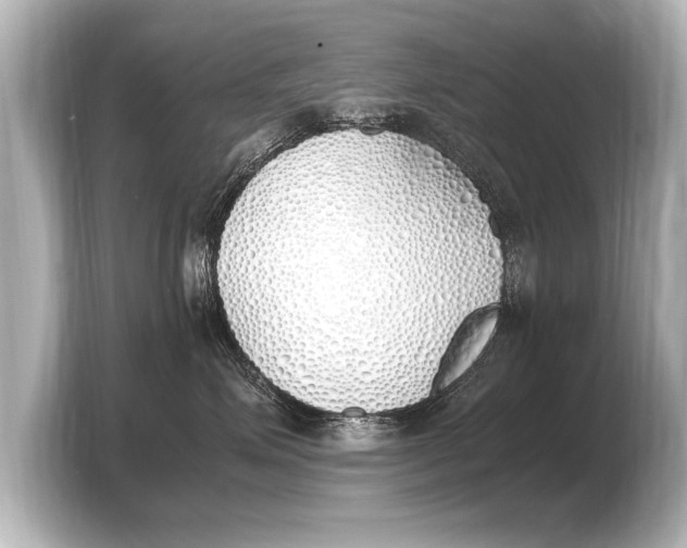 X0000103430623200810031352