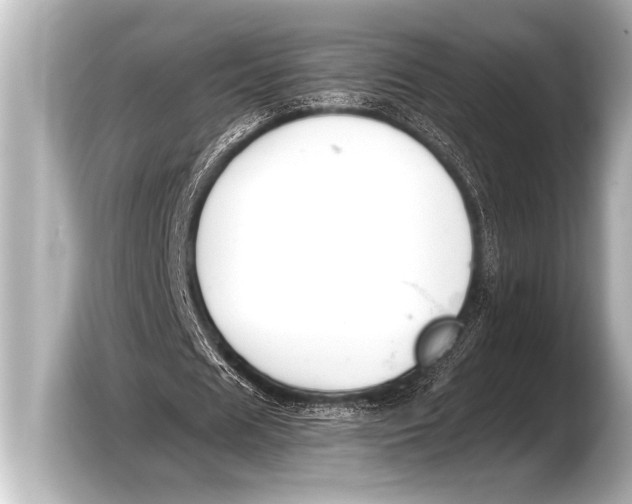 X0000103430625200810031351