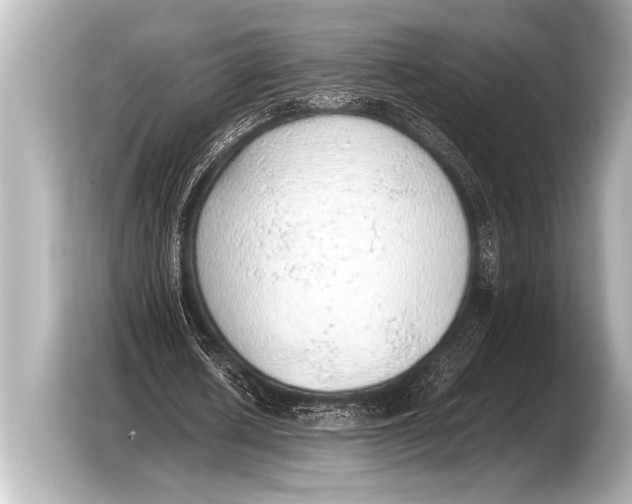 X0000103430626200810031351