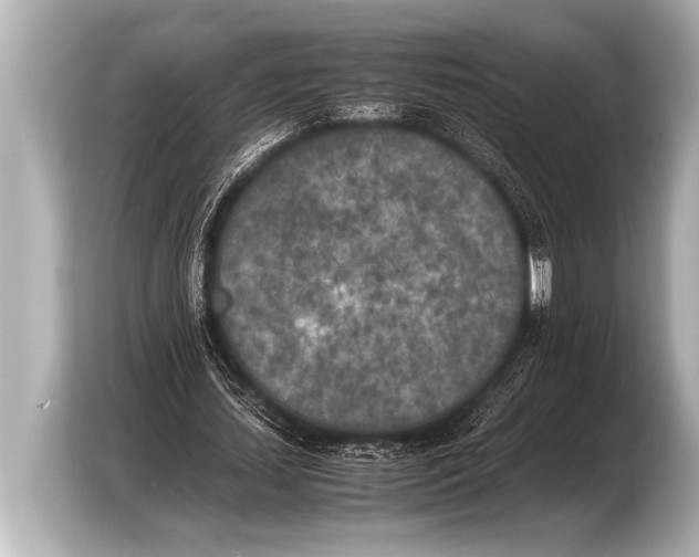 X0000103430627200810031351