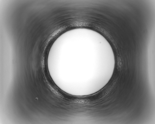 X0000103430629200810031351