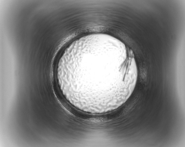 X0000103430630200810031351