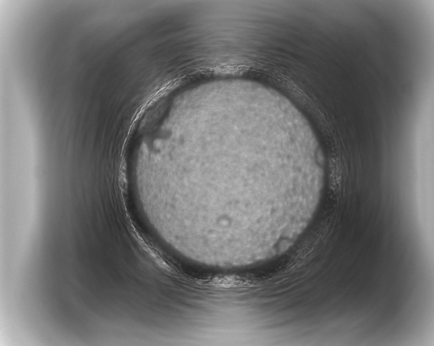 X0000103430634200810031351