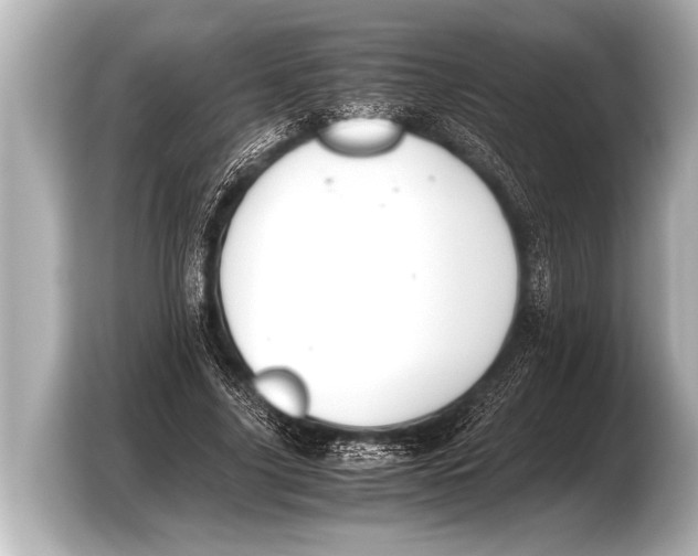 X0000103430635200810031351