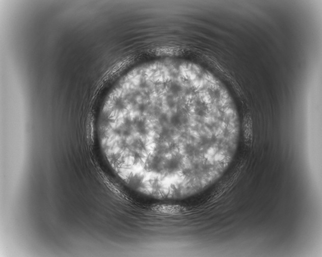 X0000103430637200810031351