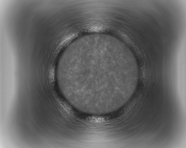 X0000103430640200810031351