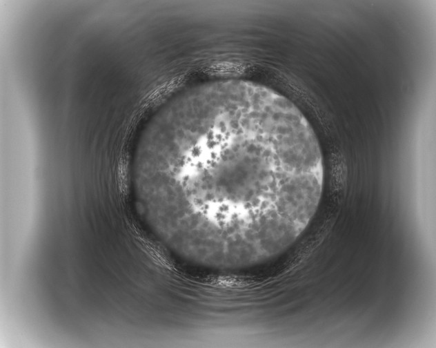 X0000103430641200810031351