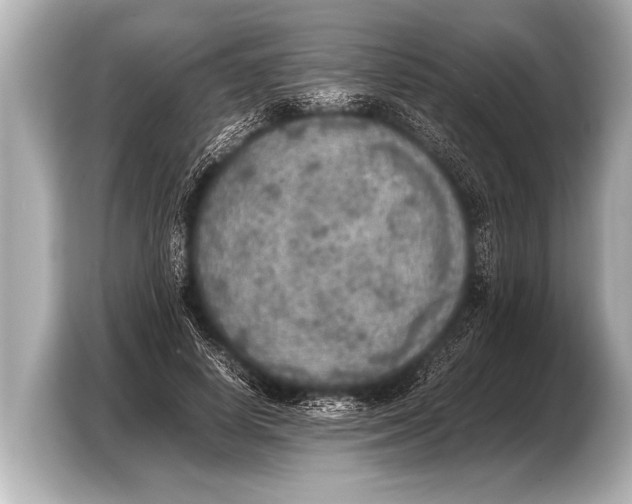 X0000103430642200810031351