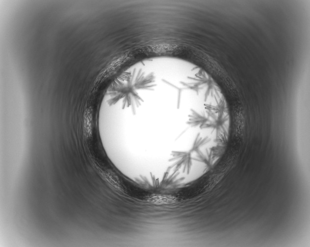 X0000103430644200810031351