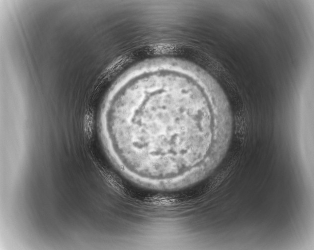 X0000103430648200810031351