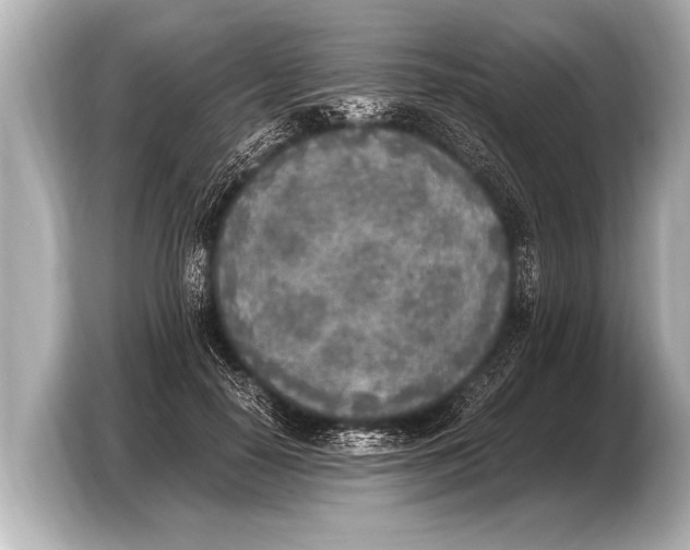 X0000103430650200810031352