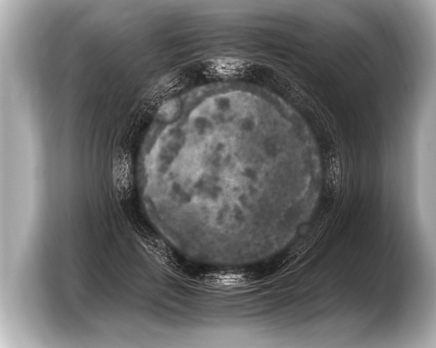 X0000103430651200810031352