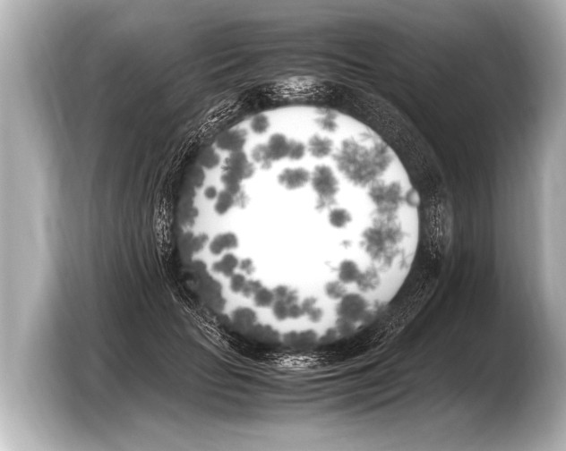 X0000103430653200810031352