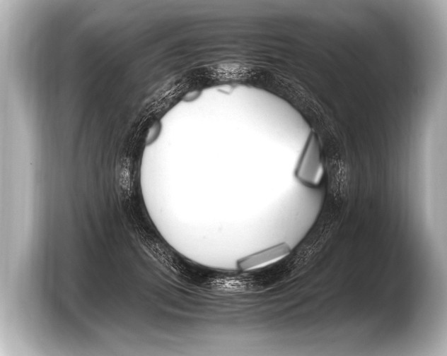 X0000103430655200810031352