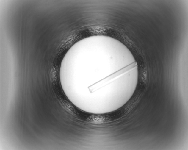 X0000103430658200810031352