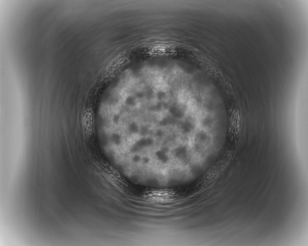 X0000103430659200810031352