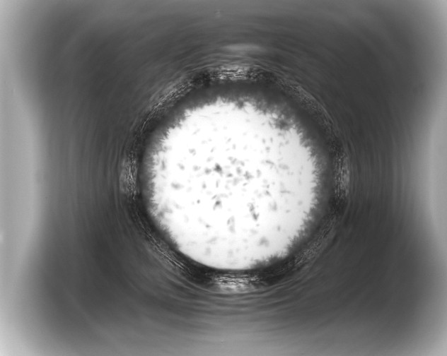 X0000103430661200810031352