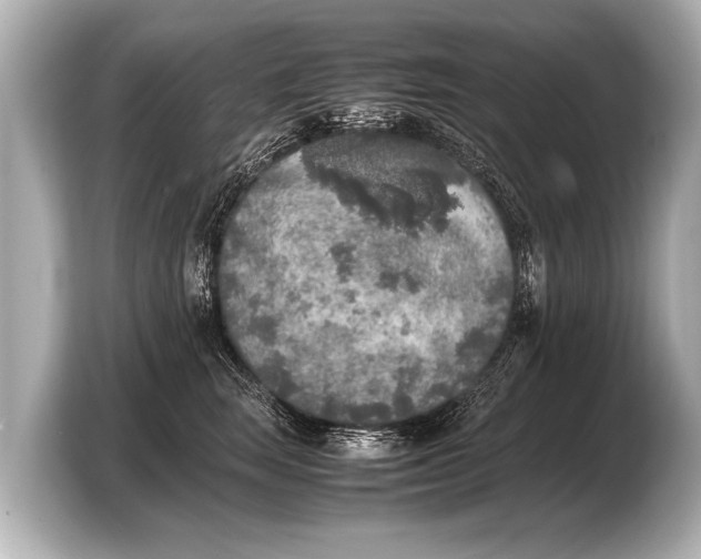 X0000103430663200810031352