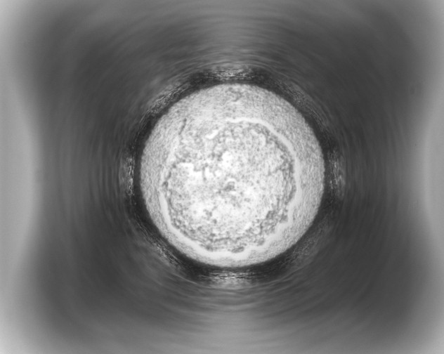 X0000103430664200810031352