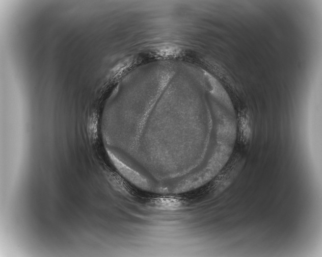 X0000103430668200810031352