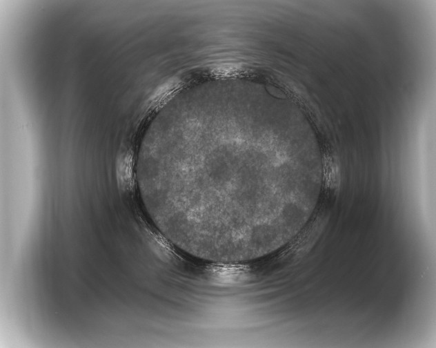 X0000103430670200810031352