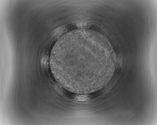 X0000103430671200810031352