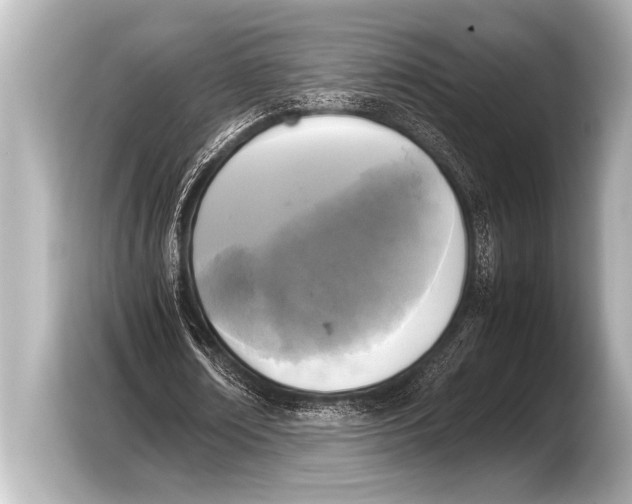 X0000103430674200810031351