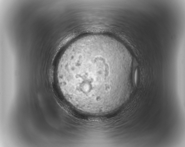 X0000103430679200810031351