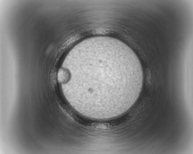 X0000103430683200810031351