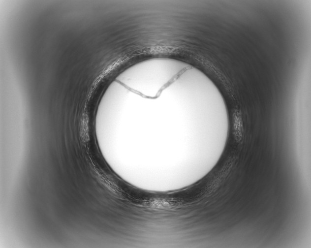 X0000103430684200810031351